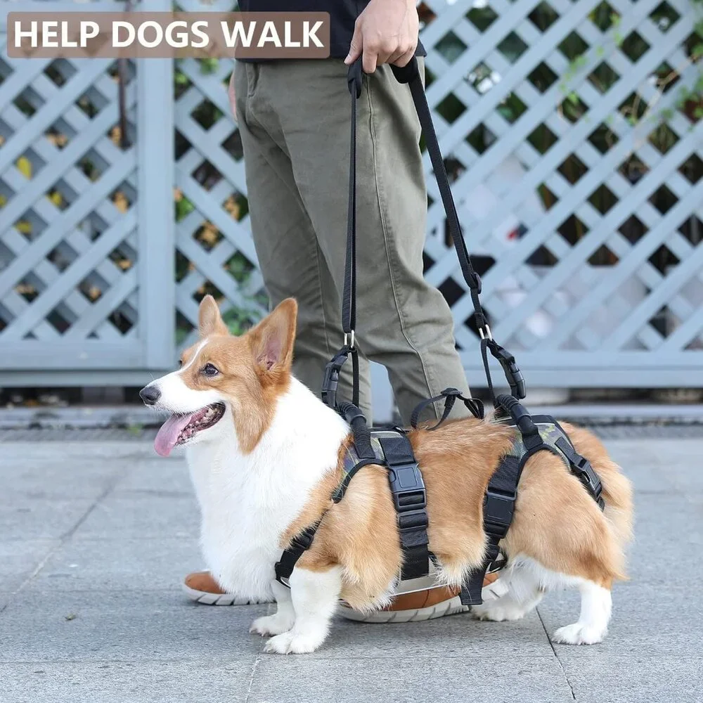 Coodeo Dog Lift Harness, Full Body Support & Recovery Sling